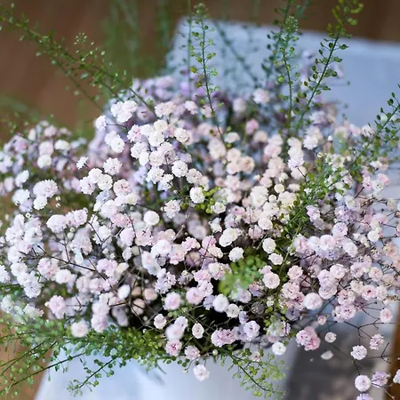 Bauernhof Unterstegen Зелль